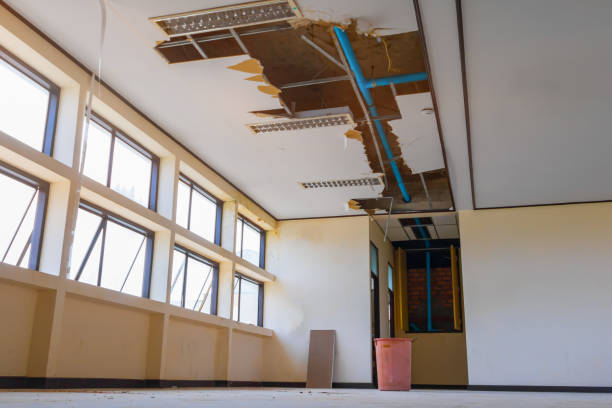 Best Carpet water damage restoration  in Cascade, IA