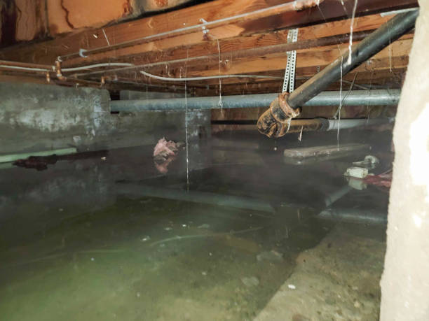 Best 24/7 water damage repair  in Cascade, IA