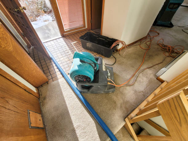 Water damage restoration experts in IA