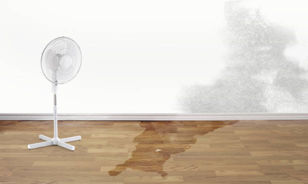 Best Fire Damage Restoration  in Cascade, IA