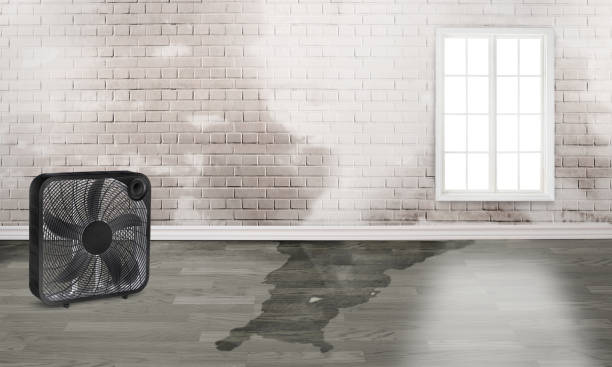  Cascade, IA Water damage restoration Pros