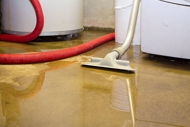 Best Commercial water damage restoration  in Cascade, IA