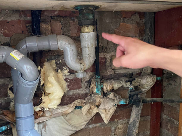 Best Flooded house restoration  in Cascade, IA