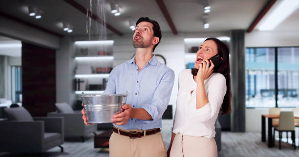 Best Water damage restoration near me  in Cascade, IA