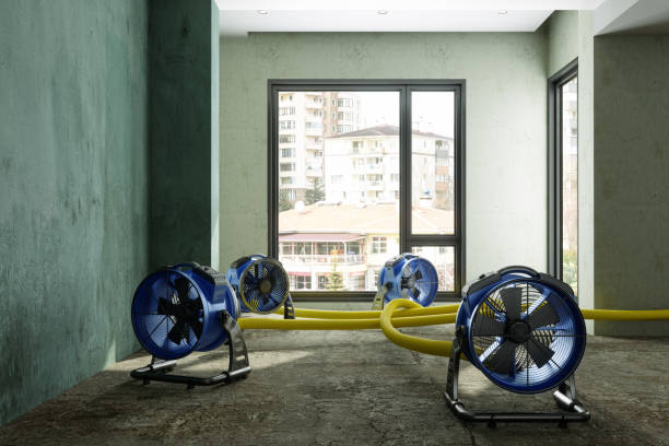 Best Local water damage restoration  in Cascade, IA