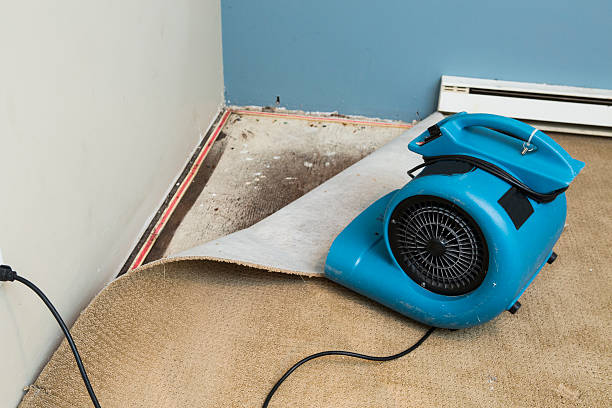 Best Emergency water damage restoration  in Cascade, IA
